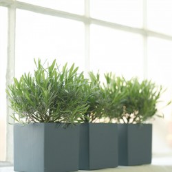 Краска Little Greene цвет Juniper Ash 115