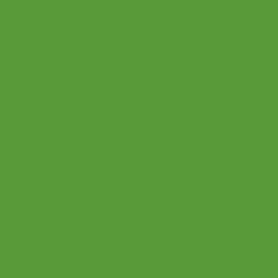 Краска Little Greene цвет Yellow green RAL 6018 Acrylic Gloss 1 л