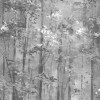 Обои 1838 Wallcoverings Aurora Glade Jet 1804-118-05