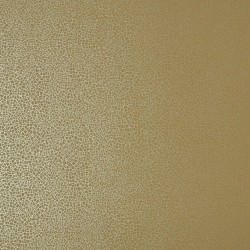 Обои 1838 Wallcoverings Elodie Emile Mustard 1907-141-07