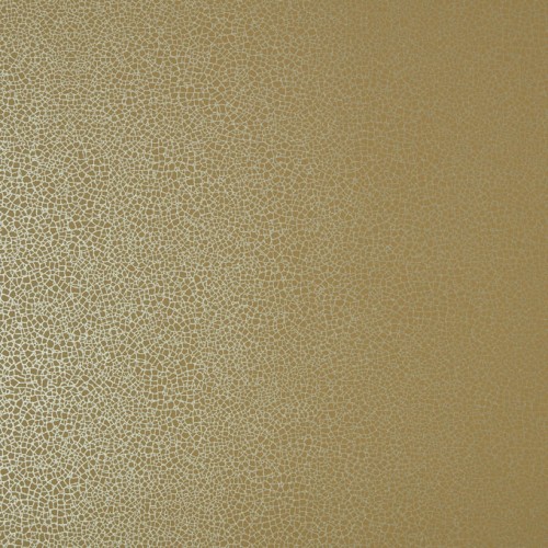 Обои 1838 Wallcoverings Elodie Emile Mustard 1907-141-07 Обои 1838 Wallcoverings Elodie Emile Mustard 1907-141-07