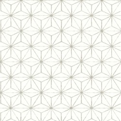 Обои Aura East West Style FD24310