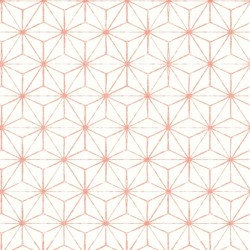 Обои Aura East West Style FD24313