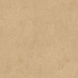 Обои Aura Natural FX G67465