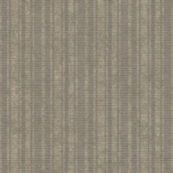 Обои Carey Lind Menswear MW9132