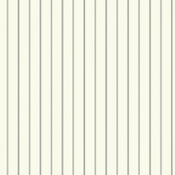 Обои Carey Lind Menswear MW9256