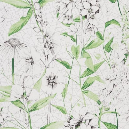 Обои Designers Guild Flowers Volume 1 Emilie PDG1050/01