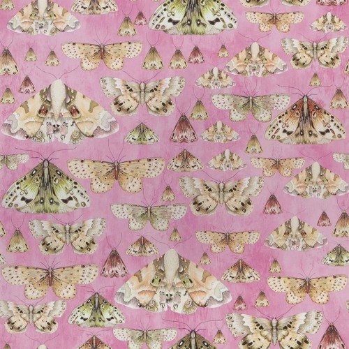 Обои Designers Guild Jardin Des Plantes Issoria Rose PDG713/03 Обои Designers Guild Jardin Des Plantes Issoria Rose PDG713/03