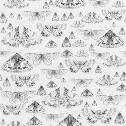 Обои Designers Guild Jardin Des Plantes Issoria Black And White PDG713/05