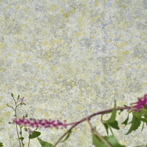 Обои Designers Guild Majolica Lustro Birch PDG1025/03 Обои Designers Guild Majolica Lustro Birch PDG1025/03