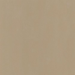 Обои Designers Guild Parchment Burnished Gold PDG719/11