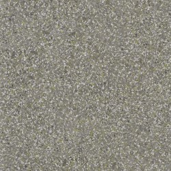 Обои Designers Guild Tulipa Stellata Pavonazzo Birch PDG1031/02