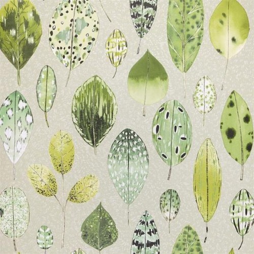 Обои Designers Guild Zardozi Tulsi PDG1060/05