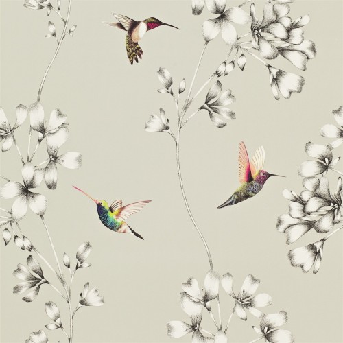 Обои Harlequin Amazilia Silver 111062 Обои Harlequin Amazilia Silver 111062