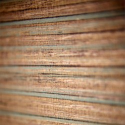 Обои Harlequin Tresillo Oralia Cupra 111439