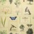 Обои John Derian Picture Book Flora And Fauna PJD6001/01