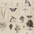 Обои John Derian Picture Book Flora And Fauna PJD6001/03