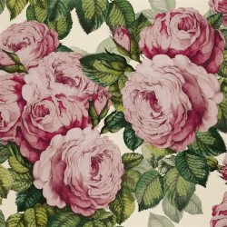 Обои John Derian Picture Book The Rose PJD6002/02