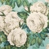 Обои John Derian Picture Book The Rose PJD6002/03