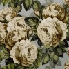 Обои John Derian Picture Book The Rose PJD6002/06
