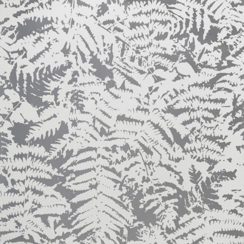Обои Little Greene 20th Century Papers Fern - Сlearing 0288FECLEAR