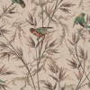 Обои Little Greene London Wallpapers IV Great Ormond St - Cappuccino 0251GOCAPPU