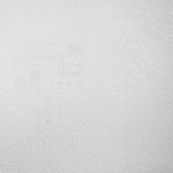 Обои под покраску Marburg Patent Decor Laser 9226 25×1,06