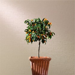 Обои под покраску Marburg Patent Decor 9343 25×1,06