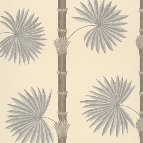 Обои Paint & Paper Library Botany Hardy Palm Canvas III 0360HACANVA
