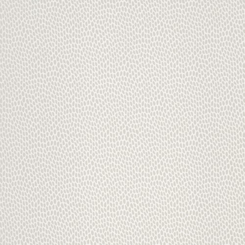 Обои Paint & Paper Library Botany Seedpod Salt 0360SESALTZ