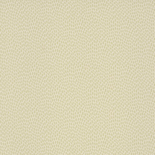 Обои Paint & Paper Library Botany Seedpod Willow V 0360SEWILLO