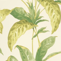Обои Paint & Paper Library Botany Tropicane Chelsea Green II 0360TRCHELS