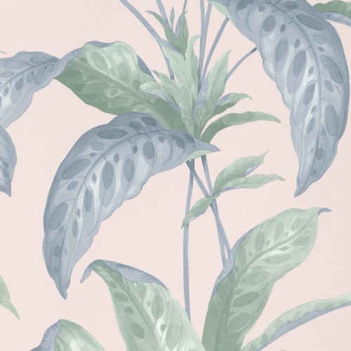 Обои Paint & Paper Library Botany Tropicane Plaster 0360TRPLAST
