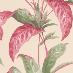 Обои Paint & Paper Library Botany Tropicane Rhubarb 0360TRRHUBA