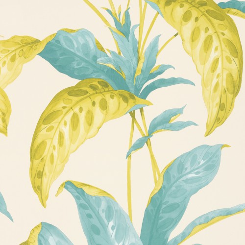 Обои Paint & Paper Library Botany Tropicane Scallion 0360TRSCALL
