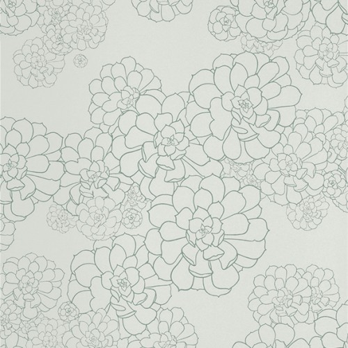 Обои Paint and Paper Library Tresco Aeonium Blue Gum 0393AEBLUEG