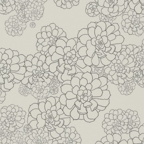Обои Paint and Paper Library Tresco Aeonium Cotton 0393AECOTTO
