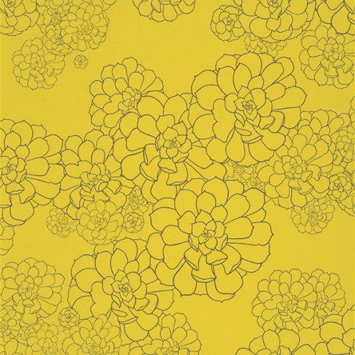 Обои Paint and Paper Library Tresco Aeonium Gamboge 0393AEGAMBO