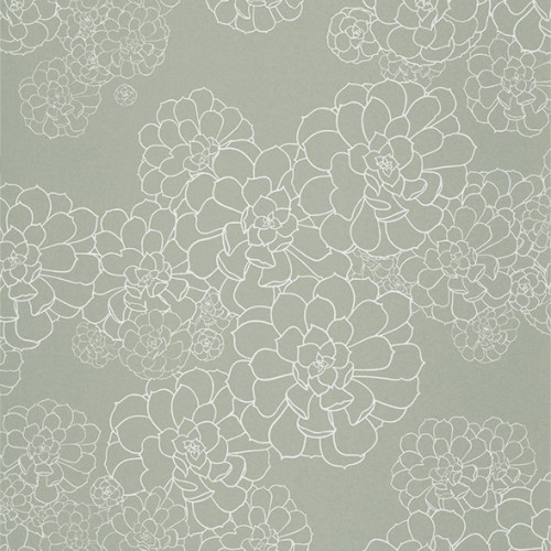 Обои Paint and Paper Library Tresco Aeonium Steel 0393AESTEEL