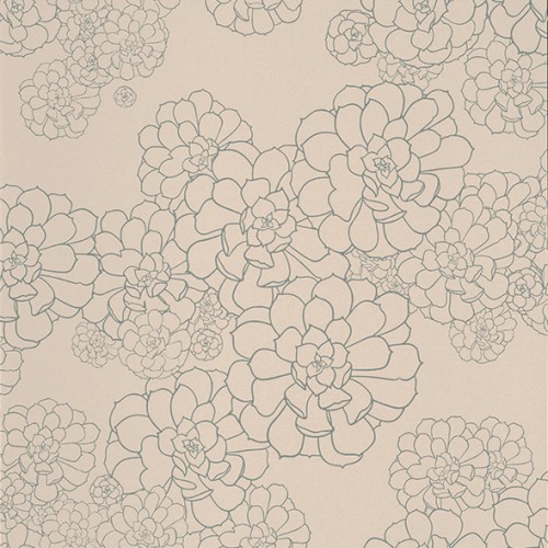 Обои Paint and Paper Library Tresco Aeonium Temple 0393AETEMPL