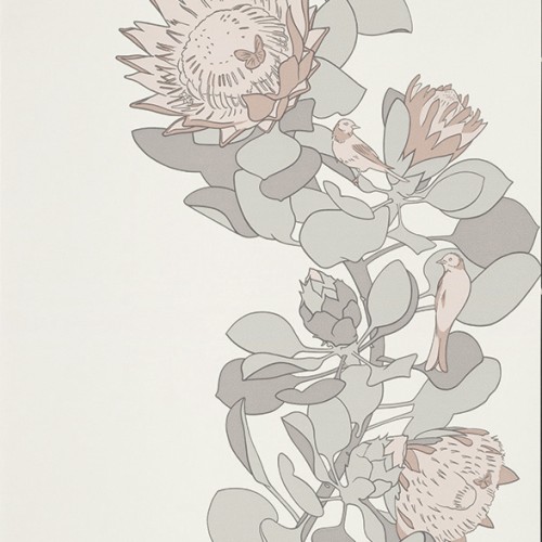 Обои Paint and Paper Library Tresco Protea Trail Salt 0393PTSALTZ