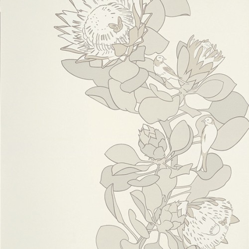 Обои Paint and Paper Library Tresco Protea Trail Slate 0393PTSLATE