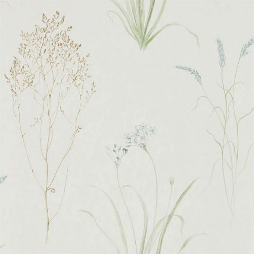 Обои Sanderson Embleton Bay Farne Grasses 216486 Обои Sanderson Embleton Bay Farne Grasses 216486