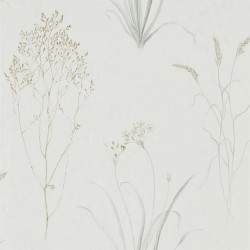 Обои Sanderson Embleton Bay Farne Grasses 216487