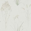 Обои Sanderson Embleton Bay Farne Grasses 216488