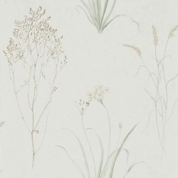 Обои Sanderson Embleton Bay Farne Grasses 216488