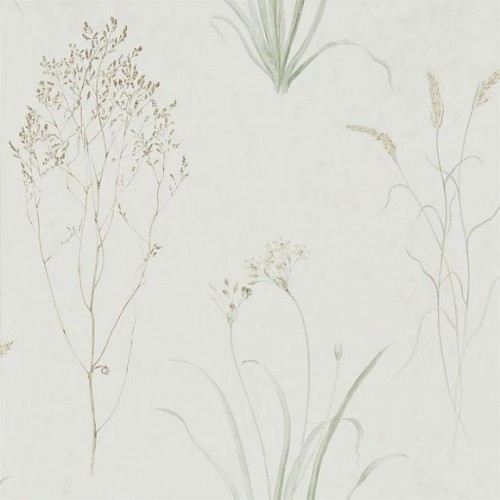 Обои Sanderson Embleton Bay Farne Grasses 216488 Обои Sanderson Embleton Bay Farne Grasses 216488