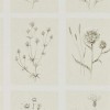Обои Sanderson Embleton Bay Little Thistles 216511