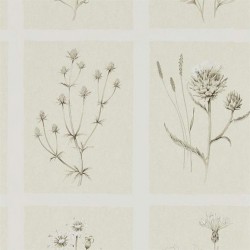 Обои Sanderson Embleton Bay Little Thistles 216511