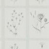 Обои Sanderson Embleton Bay Little Thistles 216512